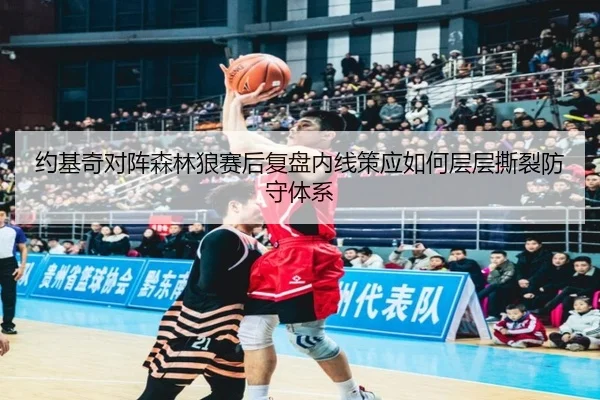 约基奇对阵森林狼赛后复盘内线策应如何层层撕裂防守体系