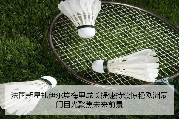法国新星扎伊尔埃梅里成长提速持续惊艳欧洲豪门目光聚焦未来前景